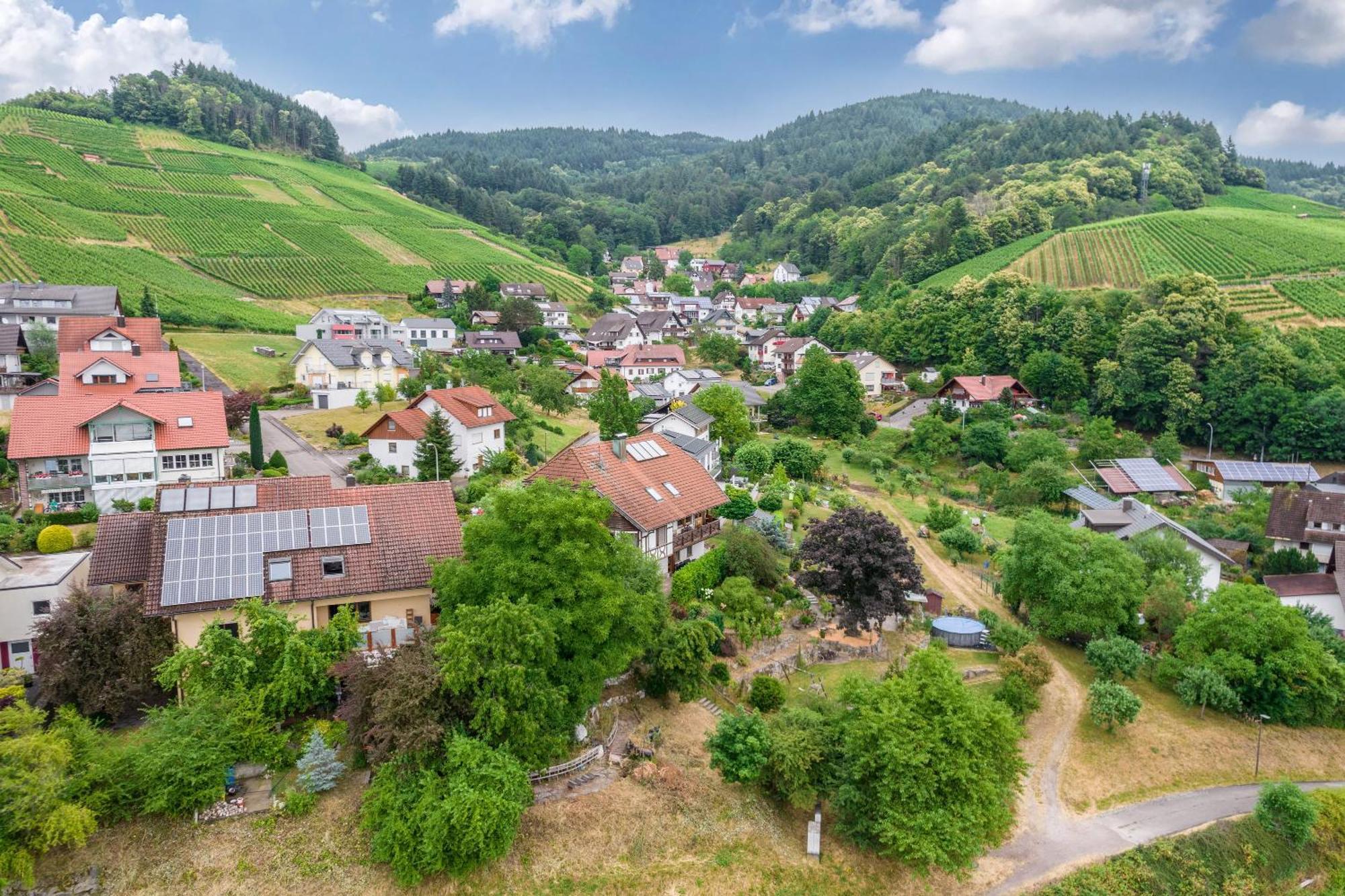 Im Rodeck Nest Daire Kappelrodeck Dış mekan fotoğraf